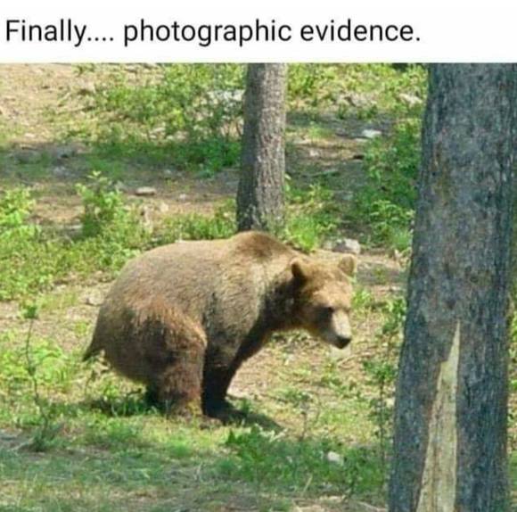 Meet your Posher, Brenda - Picture 1 of 1